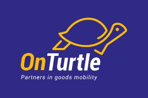 39 - ONTURTLE